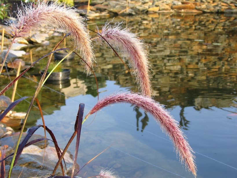 Wykonywanie ogrodów